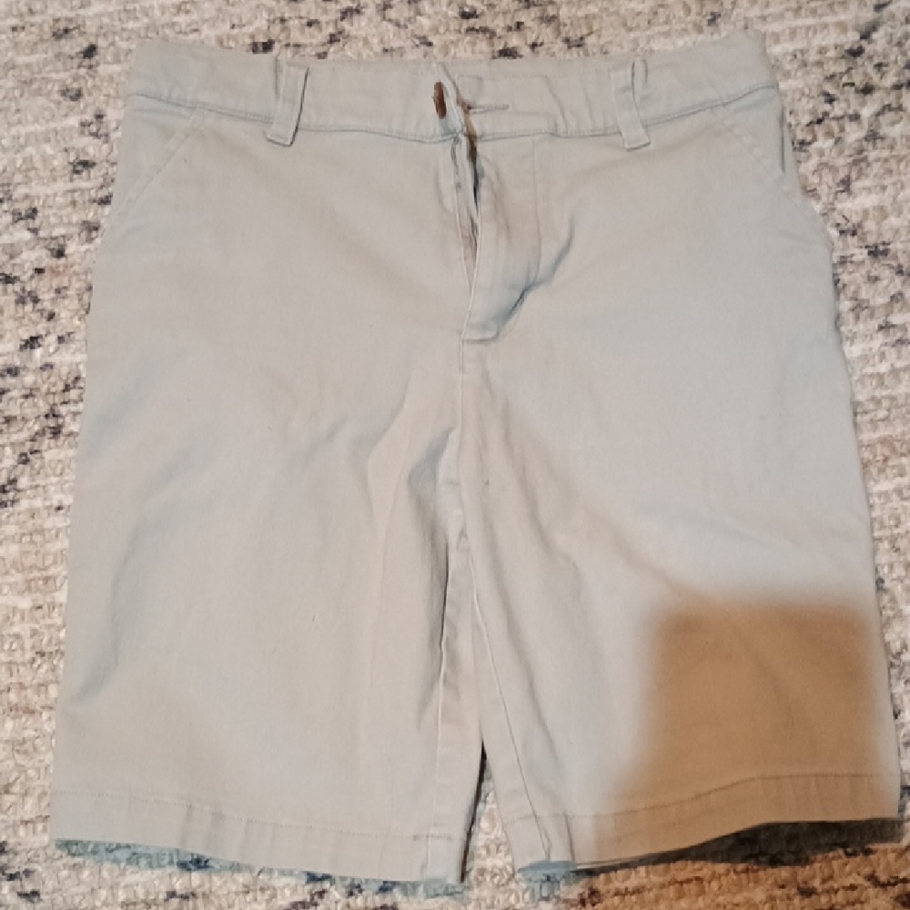 Light Gray Casual Shorts